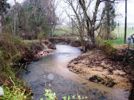 3890 E Jack Jouett Fosters Creek