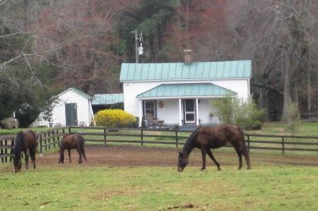 Crossing Pointe Farm