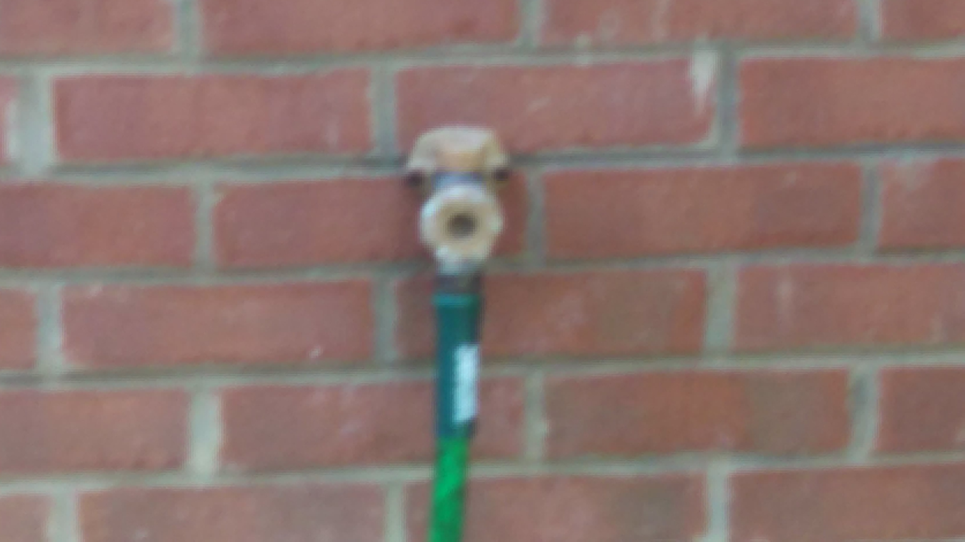 Have you disconnected your hose?