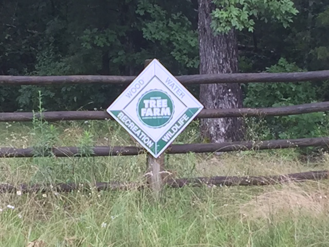 Tree Farm Sign