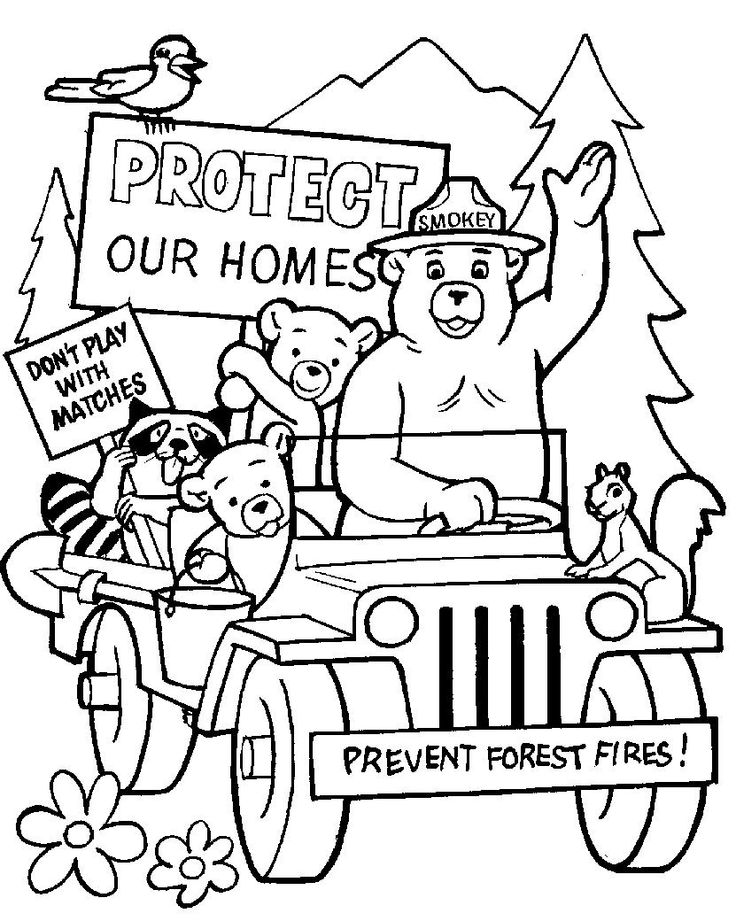 Smokey wants us to "Protect our Homes"