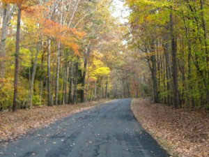 fall road